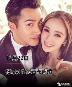 娱乐圈吃瓜小说大合集